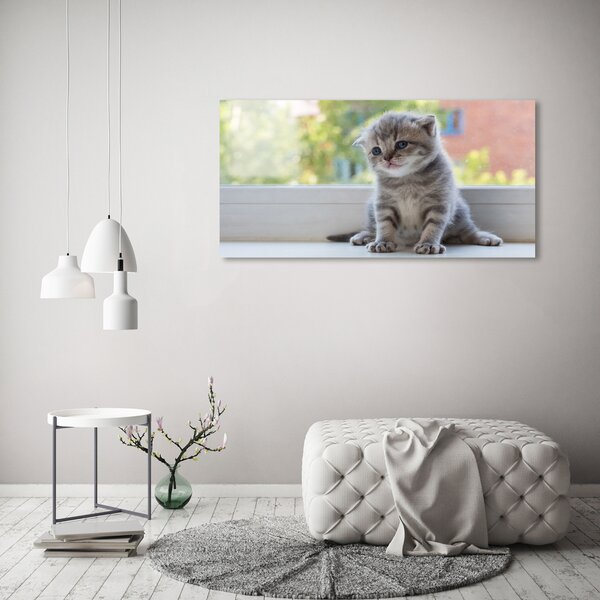 Foto obraz canvas Malá kočka u okna oc-114401117