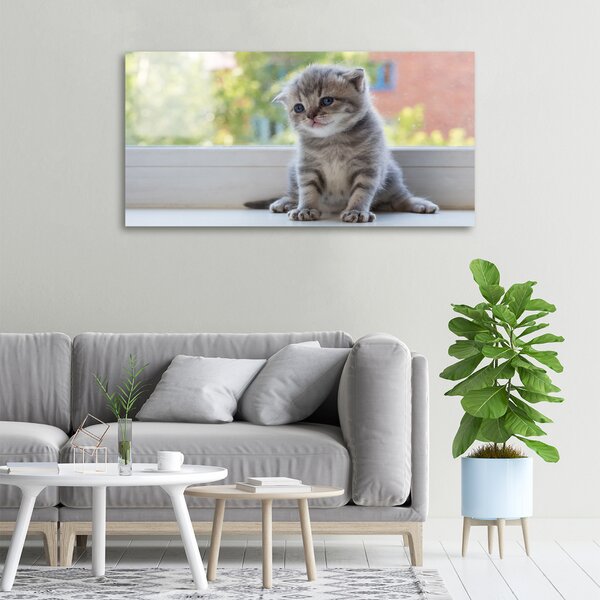 Foto obraz canvas Malá kočka u okna oc-114401117