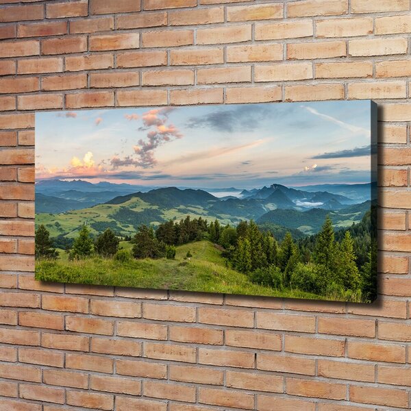 Foto obraz na plátně Panorama Pienin oc-114464112