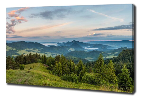 Foto obraz na plátně Panorama Pienin oc-114464112