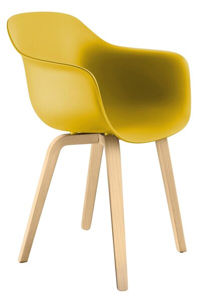 Magis designové židle Substance Armchair Wood