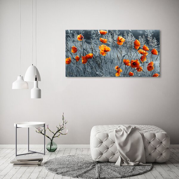 Moderní skleněný obraz z fotografie Polní mák osh-116797987