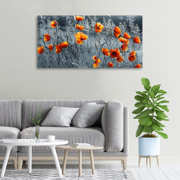 Moderní fotoobraz canvas na rámu Polní mák oc-116797987