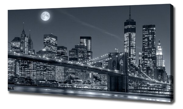 Foto obraz na plátně Manhattan New York oc-117559535