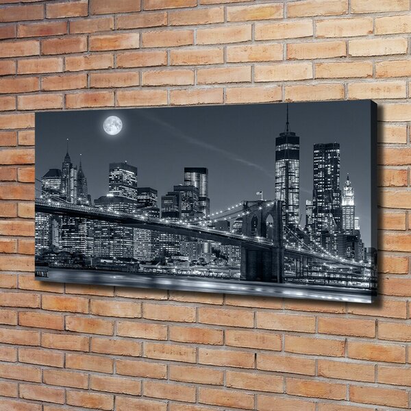 Foto obraz na plátně Manhattan New York oc-117559535