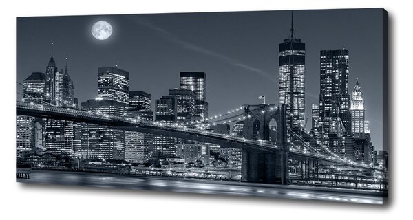 Foto obraz na plátně Manhattan New York oc-117559535