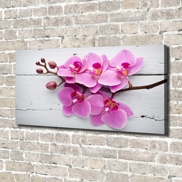 Foto obraz na plátně Orchidej a na stromě oc-118409675