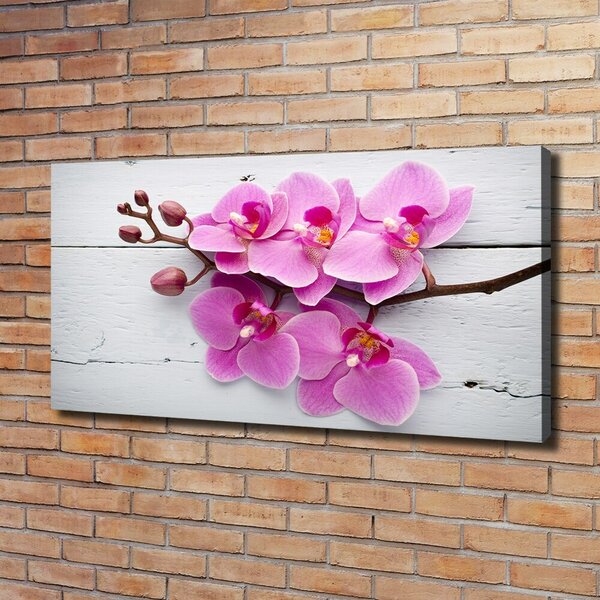 Foto obraz na plátně Orchidej a na stromě oc-118409675