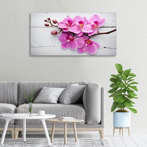 Foto obraz na plátně Orchidej a na stromě oc-118409675