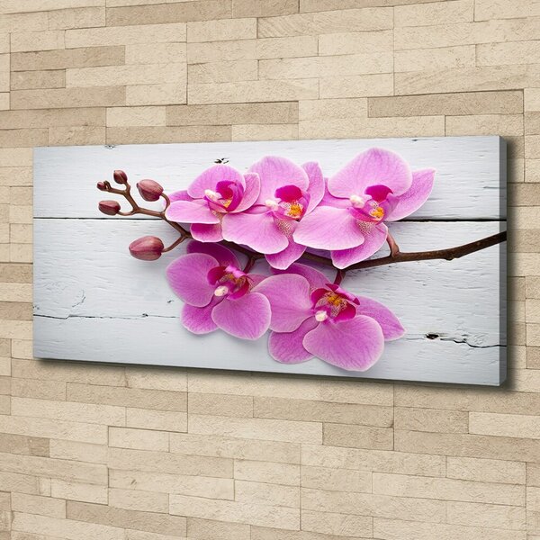 Foto obraz na plátně Orchidej a na stromě oc-118409675