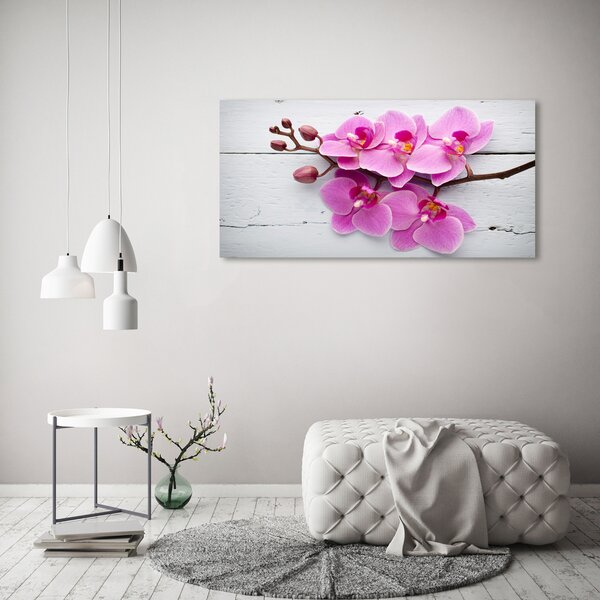 Foto obraz skleněný horizontální Orchidej a na stromě osh-118409675