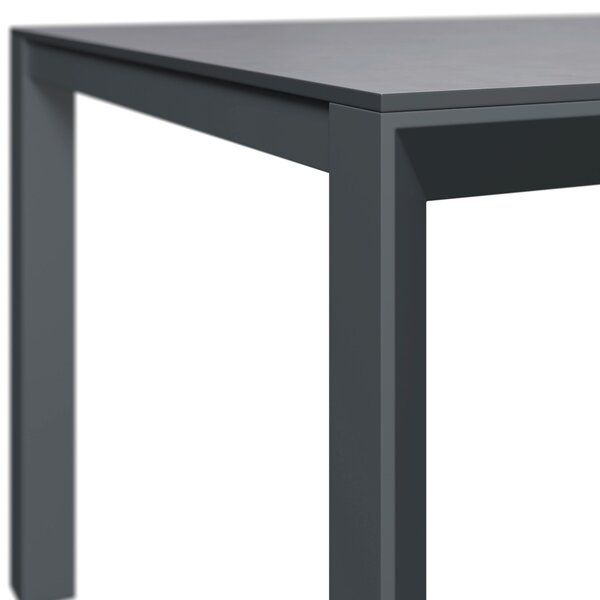 ZAHRADNÍ STŮL, kov, plast, 220/100/75 cm Amatio - Venkovní stoly