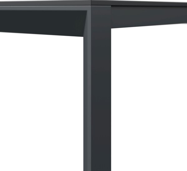 ZAHRADNÍ STŮL, kov, plast, 220/100/75 cm Amatio - Venkovní stoly