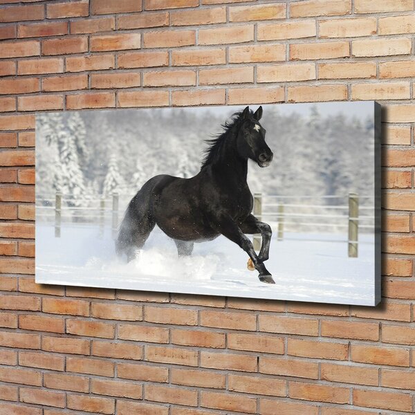 Foto obraz canvas Kůň ve cvalu sníh oc-118892522