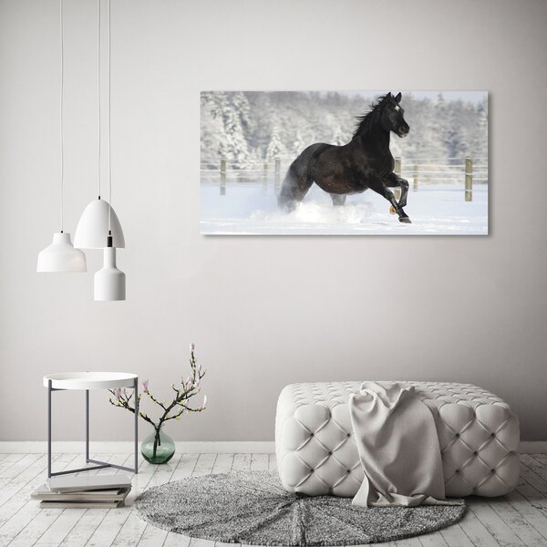 Foto obraz canvas Kůň ve cvalu sníh oc-118892522