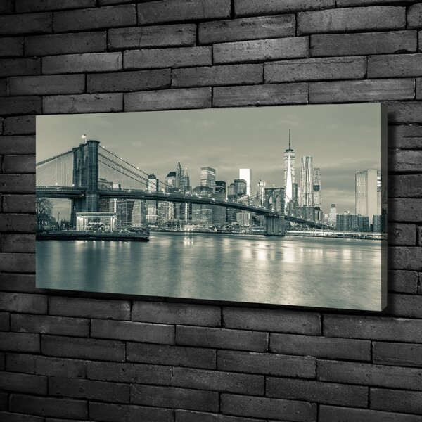 Foto obraz na plátně Manhattan New York oc-119217703