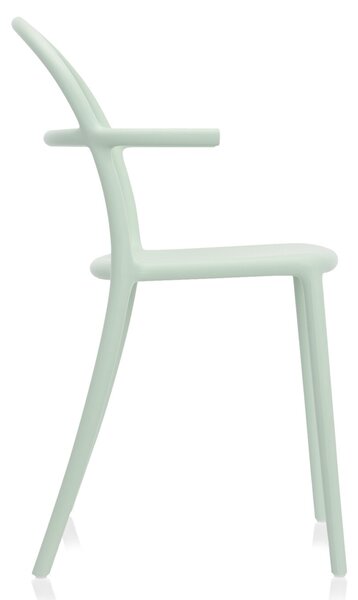 Kartell designové židle Generic C