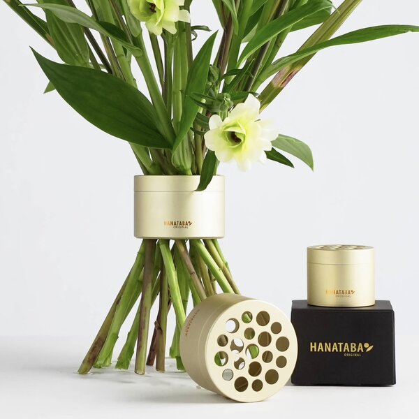 Sada floristických pomůcek Hanataba Champagne Gold - 2 ks HT101