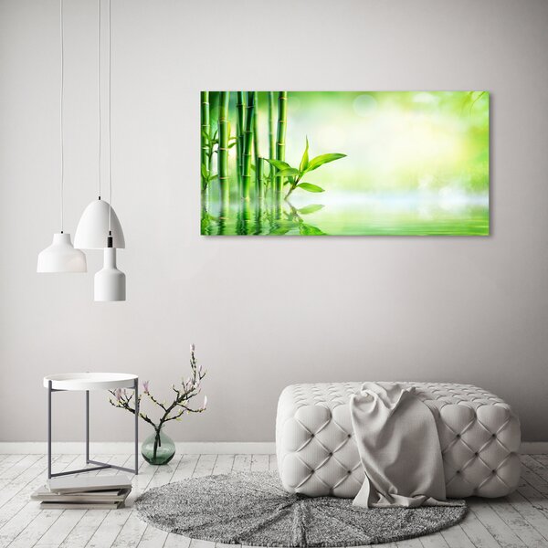 Foto obraz canvas Bambus oc-120328411