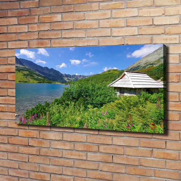 Foto obraz canvas Domek v Tatrách oc-121501191