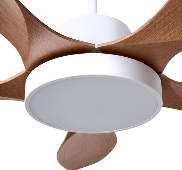 Stropní ventilátor se světlem BARBET s dálkovým ovládáním LED Světle hnědá