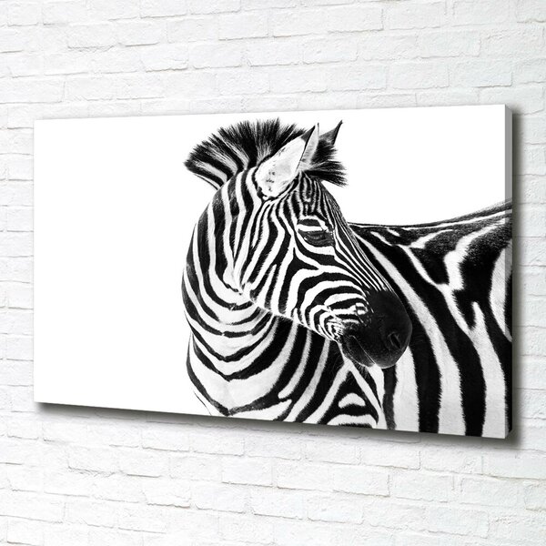 Foto obraz canvas Zebra ve sněhu oc-121577688