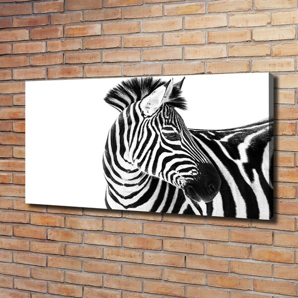 Foto obraz canvas Zebra ve sněhu oc-121577688