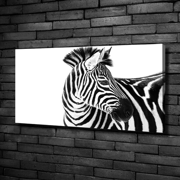 Foto obraz canvas Zebra ve sněhu oc-121577688