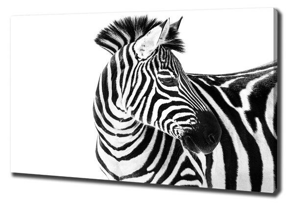 Foto obraz canvas Zebra ve sněhu oc-121577688