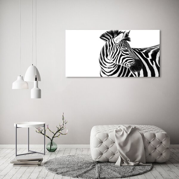 Foto obraz canvas Zebra ve sněhu oc-121577688