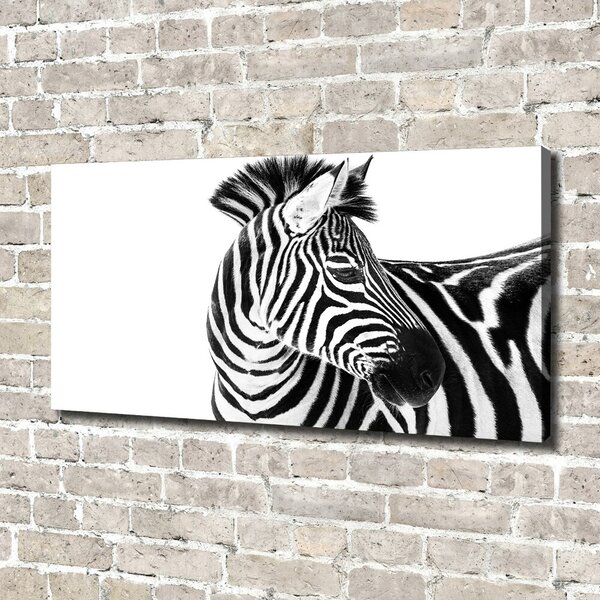 Foto obraz canvas Zebra ve sněhu oc-121577688