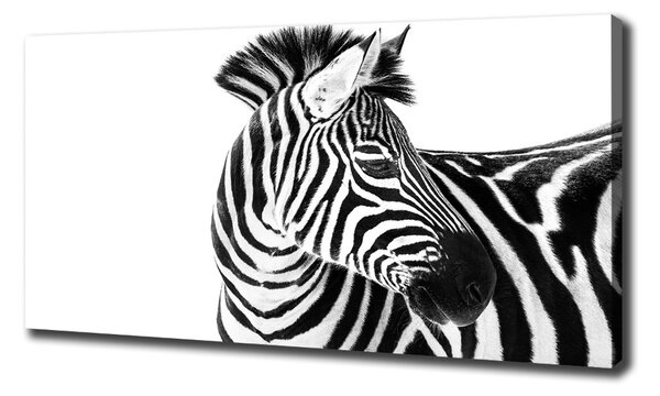 Foto obraz canvas Zebra ve sněhu oc-121577688