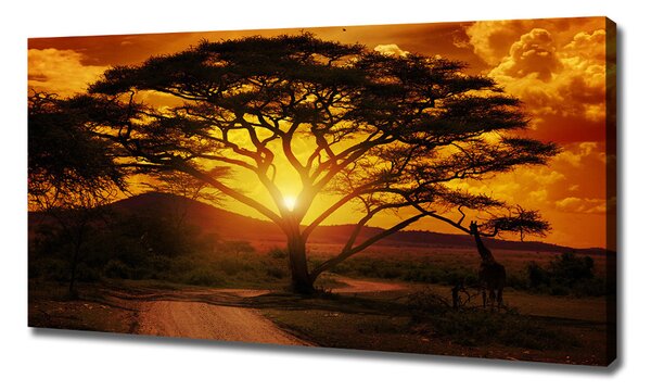 Foto obraz na plátně Západ Afrika oc-12172283