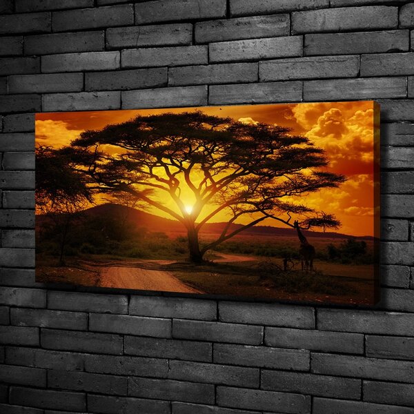 Foto obraz na plátně Západ Afrika oc-12172283