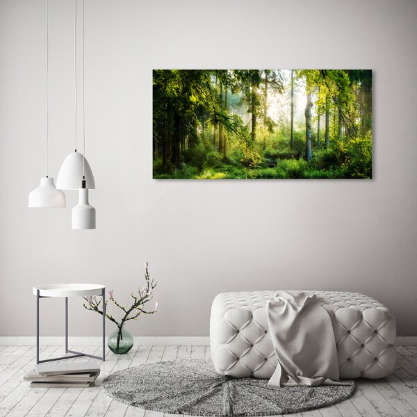 Foto obraz fotografie na skle Ranní slunce les osh-122163677