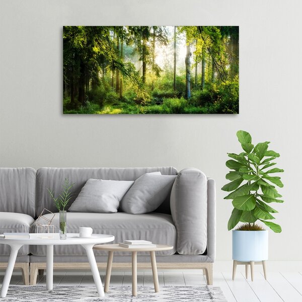 Foto obraz canvas Ranní slunce les oc-122163677