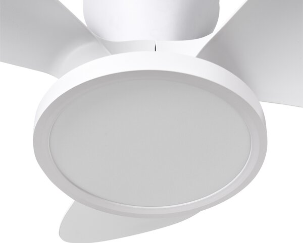 Stropní ventilátor se světlem PUNTI s dálkovým ovládáním LED Bílá