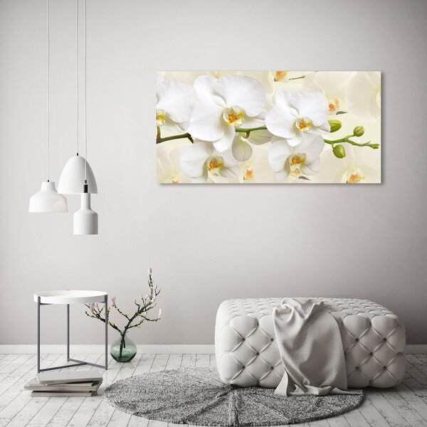 Foto obraz na plátně Orchidej oc-123330197
