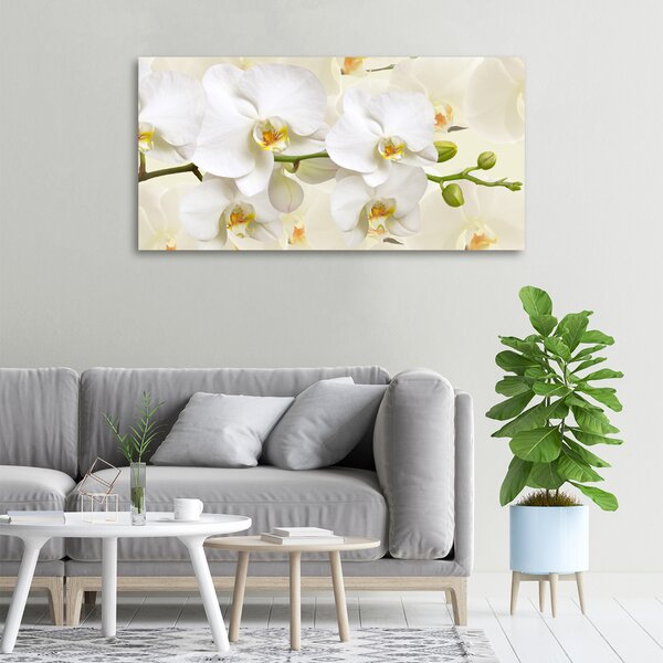 Foto obraz na plátně Orchidej oc-123330197