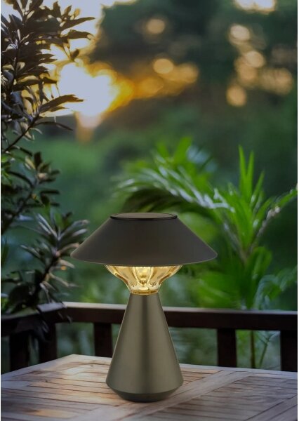 Globo 36639A - LED Solární lampa 10xLED/0,06W/1,2V IP44 černá