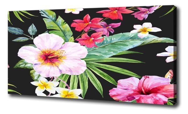 Foto obraz na plátně do obýváku Havajské květiny oc-124413381