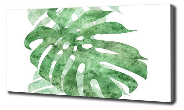 Foto obraz na plátně do obýváku Monstera oc-124503131