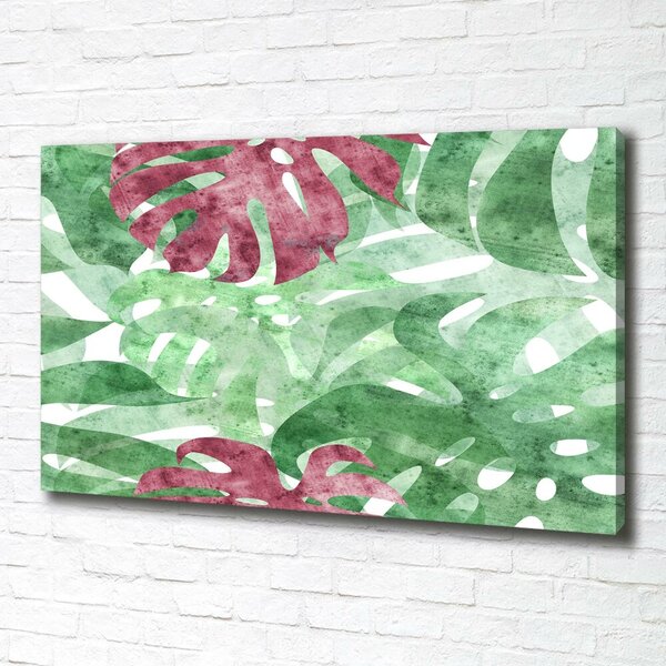 Moderní obraz canvas na rámu Monstera oc-124503126