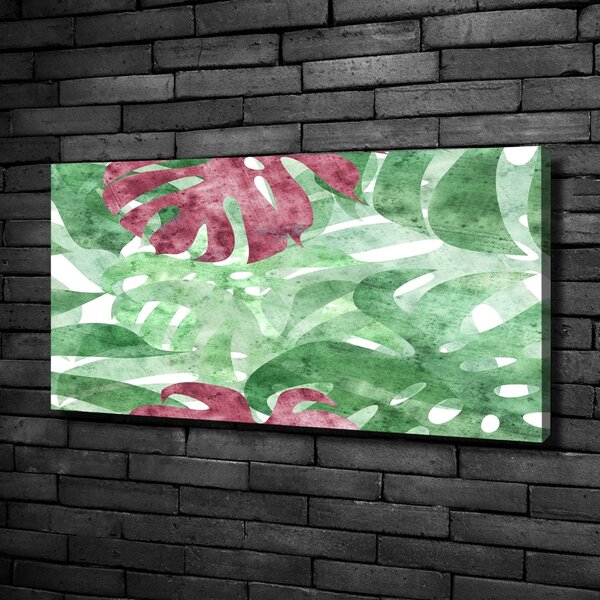 Moderní obraz canvas na rámu Monstera oc-124503126
