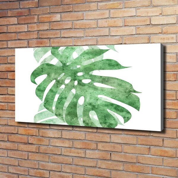 Foto obraz na plátně do obýváku Monstera oc-124503131