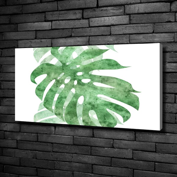 Foto obraz na plátně do obýváku Monstera oc-124503131