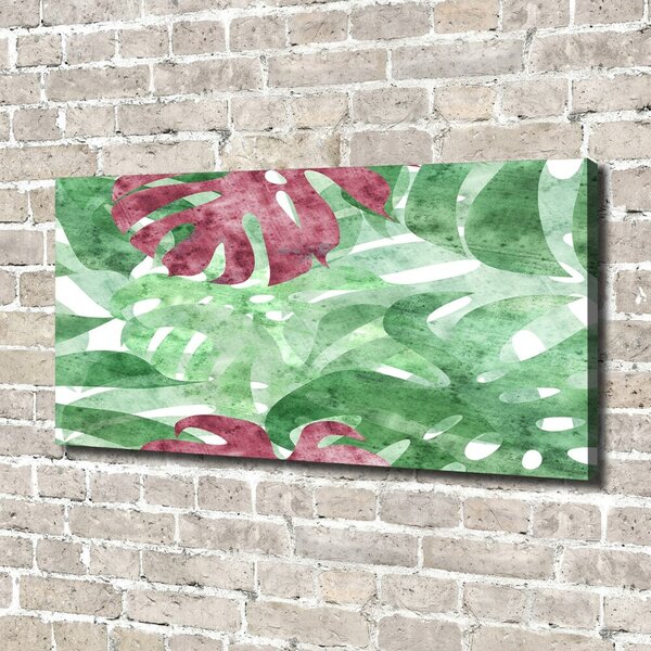 Moderní obraz canvas na rámu Monstera oc-124503126