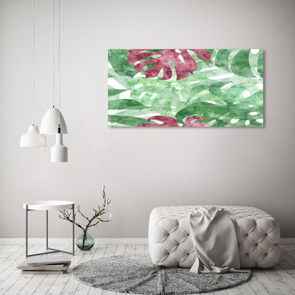 Moderní obraz canvas na rámu Monstera oc-124503126