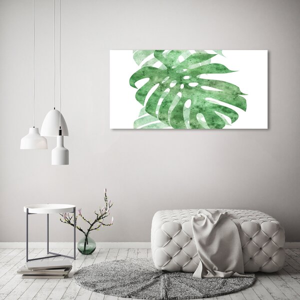 Foto obraz na plátně do obýváku Monstera oc-124503131