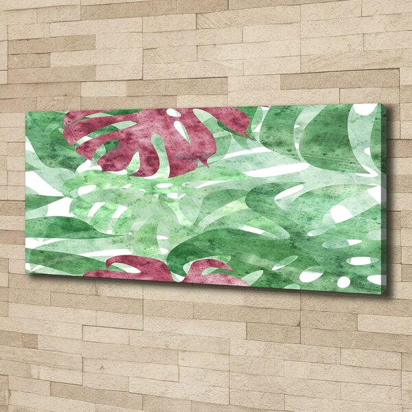 Moderní obraz canvas na rámu Monstera oc-124503126